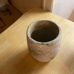 【10/6まで】植物鉢の画像