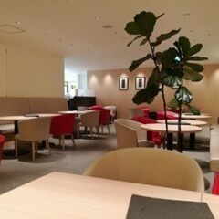 2月23日(日)17：45 -  ≪上野松坂屋≫ ✫Cafe c...