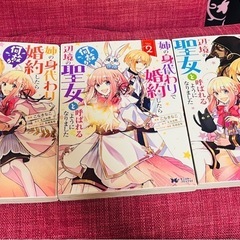 姉の身代わりで婚約したら何故か辺境の聖女と呼ばれるようになりまし...