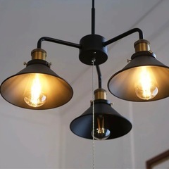 ペンダントライト (VNT-03 ブラック) ニトリの画像