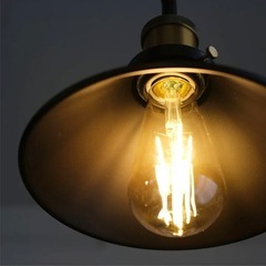 ペンダントライト (VNT-03 ブラック) ニトリの画像