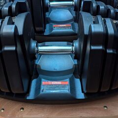 ライシン 漢のダンベル（可変式ダンベル） 45kg✕2個セット