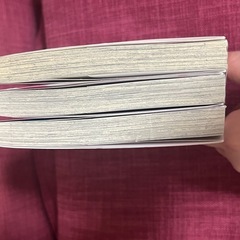姉の身代わりで婚約したら何故か辺境の聖女と呼ばれるようになりました　1〜3巻の画像
