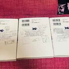 姉の身代わりで婚約したら何故か辺境の聖女と呼ばれるようになりました　1〜3巻の画像