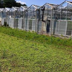 農業辞められる方❗️機械、資材譲ってください。