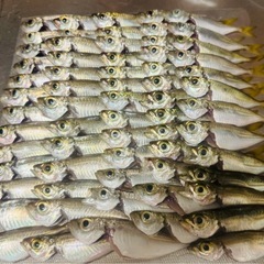 釣り友達募集 - 金沢市