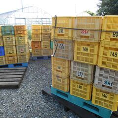 20キロコンテナ1個300円　⑥