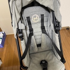 サイベックス　イージーSツイストの画像