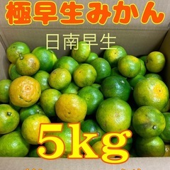 ☆和歌山みかん☆極早生•サイズ混合☆5kg