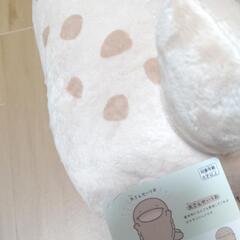 よこみぞゆり　なんでもいきもの　大さんせいうおの画像