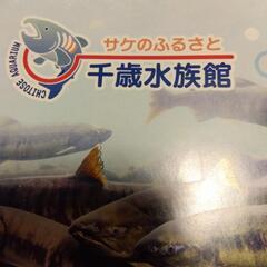 優待チケットの画像