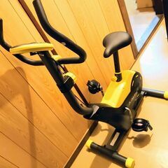 ALINCO エアロマグネティックバイクの画像