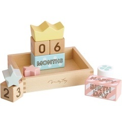 【新品】ミルキートイ　エドインター　月齢フォト　マンスリーカード　積み木の画像