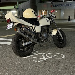 エイプ50 自賠責込みの画像