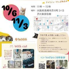 【保護猫の譲渡会】大阪府高槻市　10/6(日)