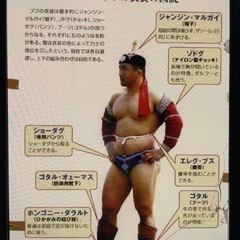 モンゴル相撲の衣装が欲しいです。