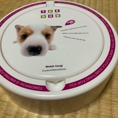 犬　ミラー