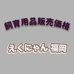 昆虫ショップ　クワガタ　カブトムシ 早良区