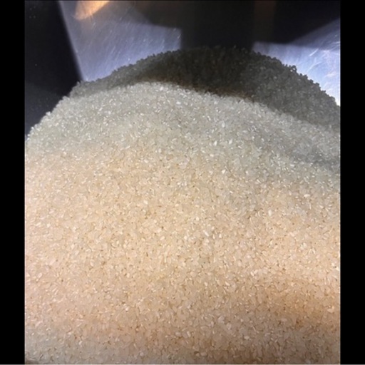 白米10キロ