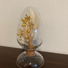 ドライフラワーの画像
