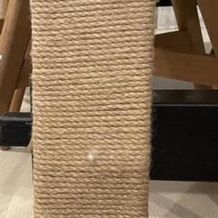 猫 爪とぎ