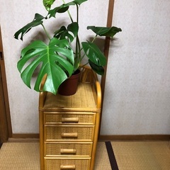 ラタンチェスト　4段　