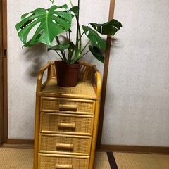 ラタンチェスト　4段　の画像