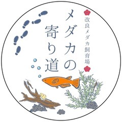 ⑭PSB（2L）無料プレゼント‼︎メダカの水づくり！  の画像