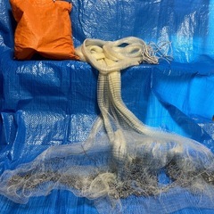 　投網　　