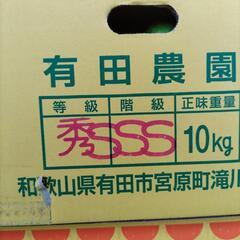 有田みかん　3S　18個入1盛　税込350円の画像