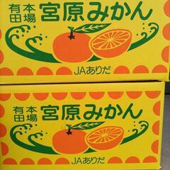 有田みかん　3S　18個入1盛　税込350円の画像