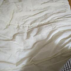 早い者勝ち！掛け布団の画像