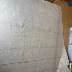 ニトリ　カーペット 6畳
の画像