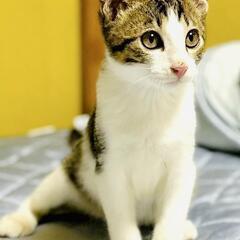 兄弟一緒のお家が出来ました🎵やんちゃで可愛い男の子✨とろろ君