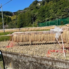 鹿児島産
稲藁の画像