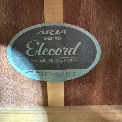 ARIA FET-380 BLS エレアコ コード ソフトケース 本 メトロノーム 付き ブルー