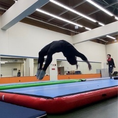 【沖縄市】大人のバク転教室🤸ワンコインで参加できる！の画像