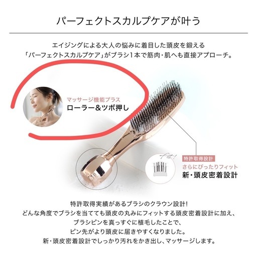 新品未使用 THE BRASHU REVO (ザ ブラシュ レボ)