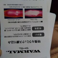 【未使用】CELINEこたつ敷きの画像