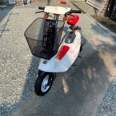 ホンダ　ズーク