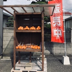 🍊良心市　みかん🍊