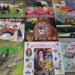 サン・チャイルド　カラー絵本セットの画像