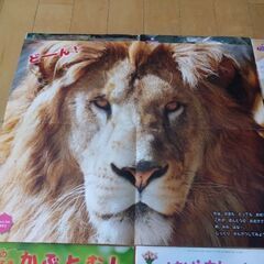 サン・チャイルド　カラー絵本セットの画像