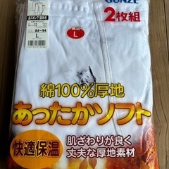 紳士長ズボン下L２枚組（３）