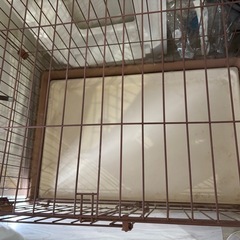 犬用ケージの画像