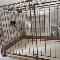 犬用ケージの画像