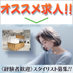 【経験者歓迎!】scene自由が丘（シーン）スタイリスト募集中！の画像