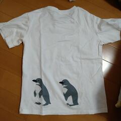 130サイズ　半袖T　ペンギン柄　美品　５回未満の使用の画像