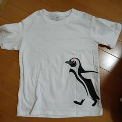 130サイズ　半袖T　ペンギン柄　美品　５回未満の使用の画像