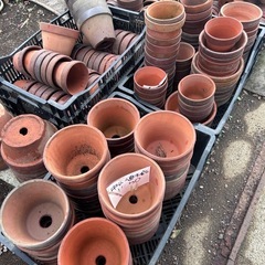 中古植木鉢　4号　5号